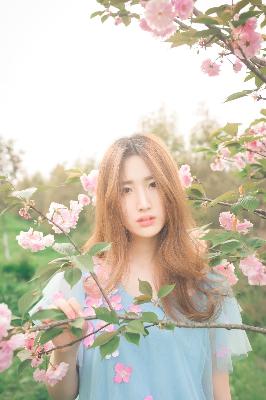 2025年天天免费资料百度中文