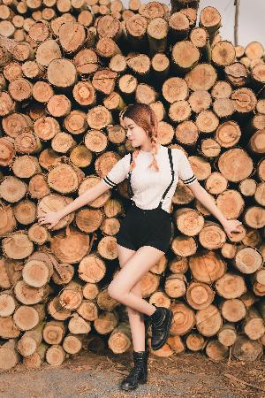 新奥天天彩最精准大全